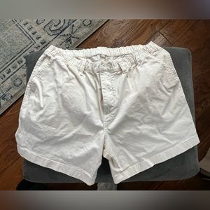 COPY - Chubbies men’s shorts